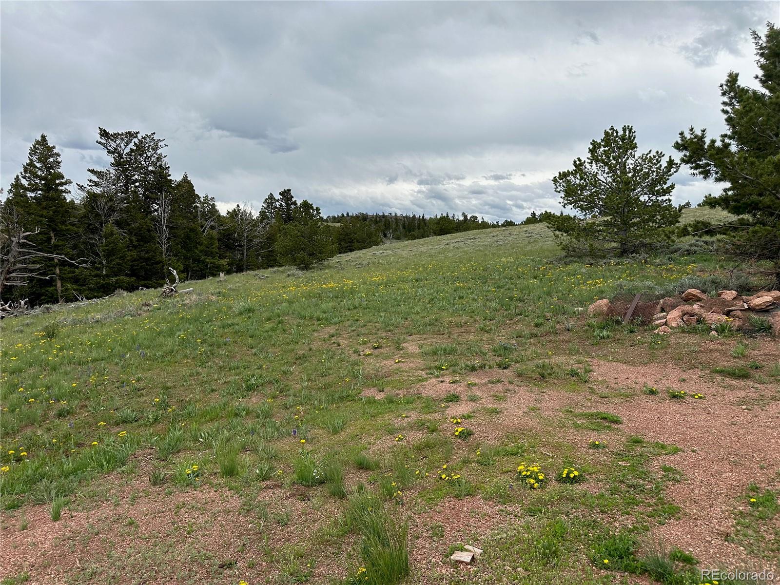 MLS Image #16 for 432  forest way,red feather lakes, Colorado