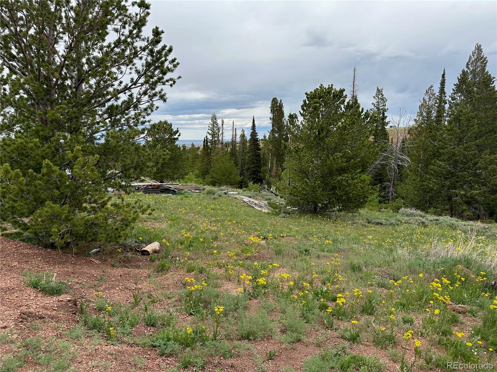 MLS Image #18 for 432  forest way,red feather lakes, Colorado