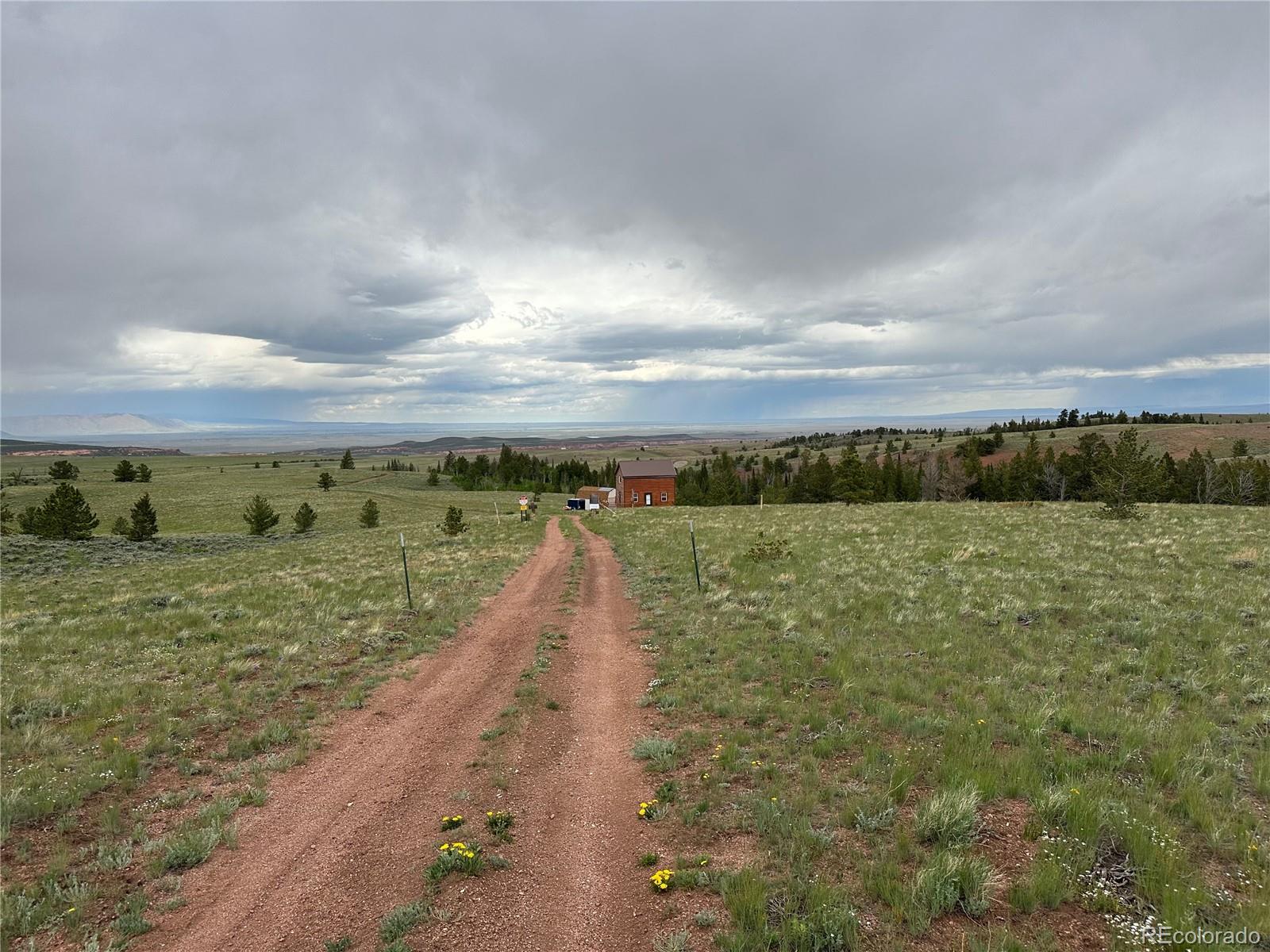 MLS Image #23 for 432  forest way,red feather lakes, Colorado