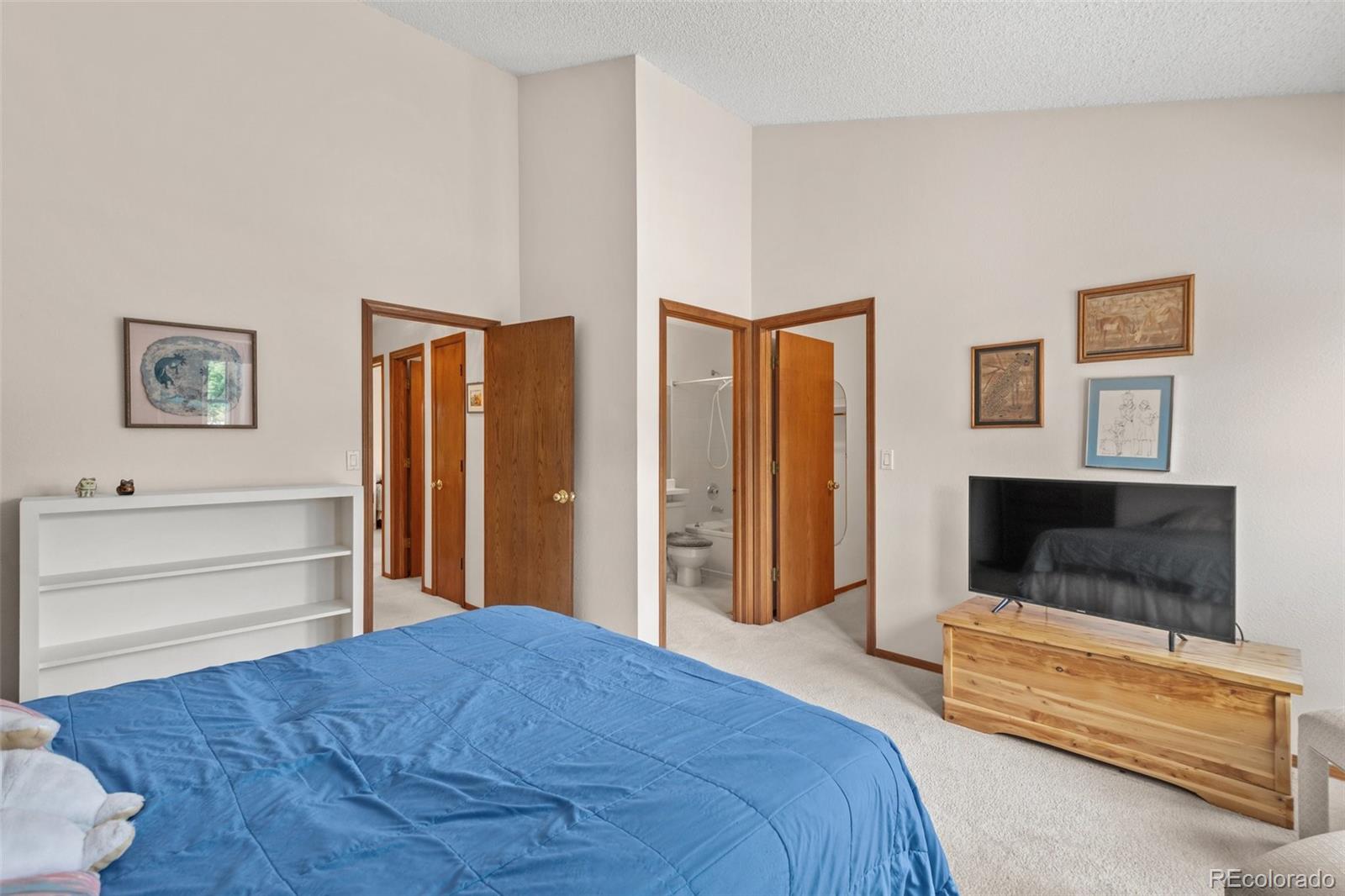 MLS Image #25 for 1337 s field court,lakewood, Colorado