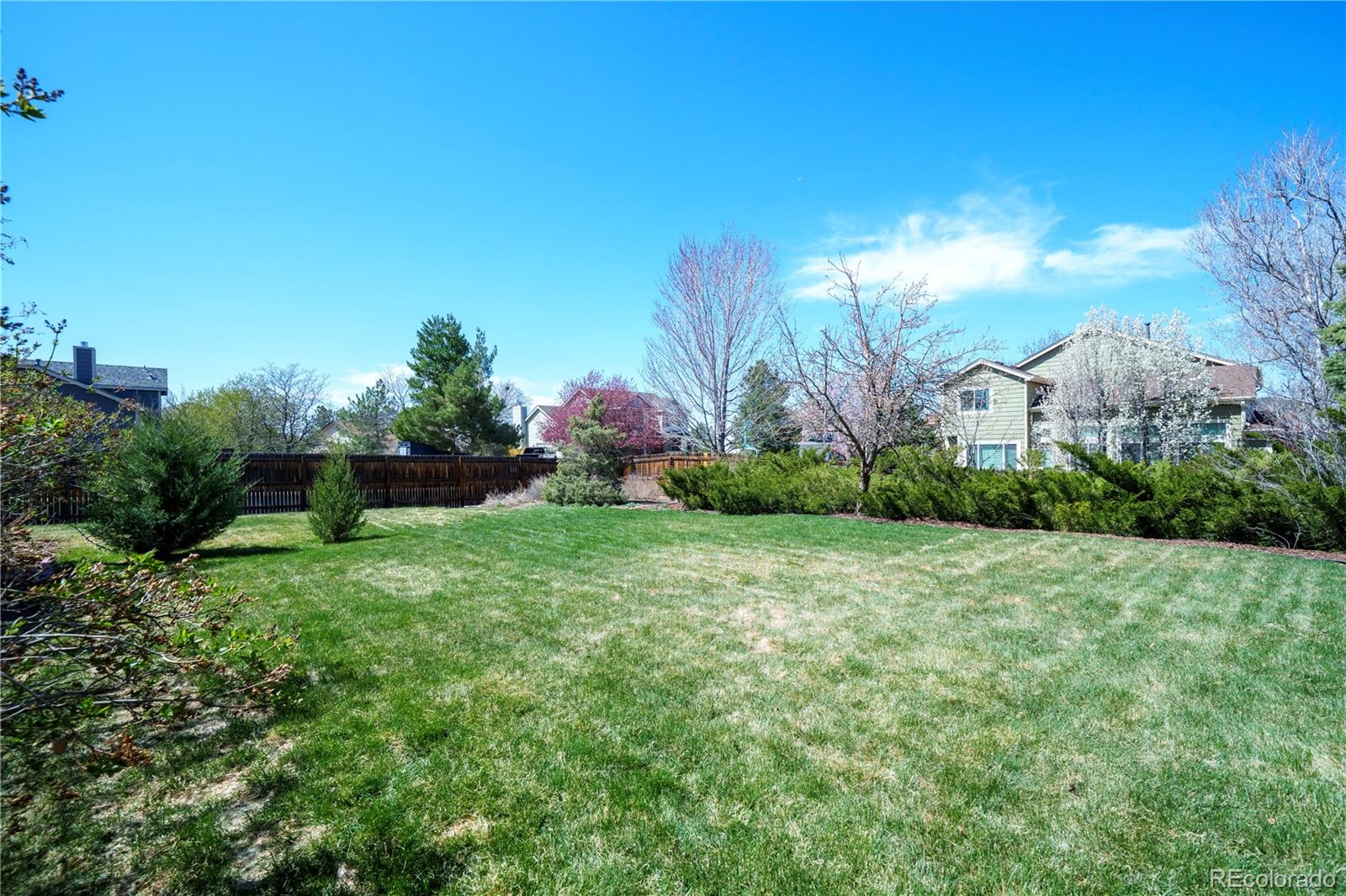 MLS Image #34 for 11606  sagewood lane,parker, Colorado