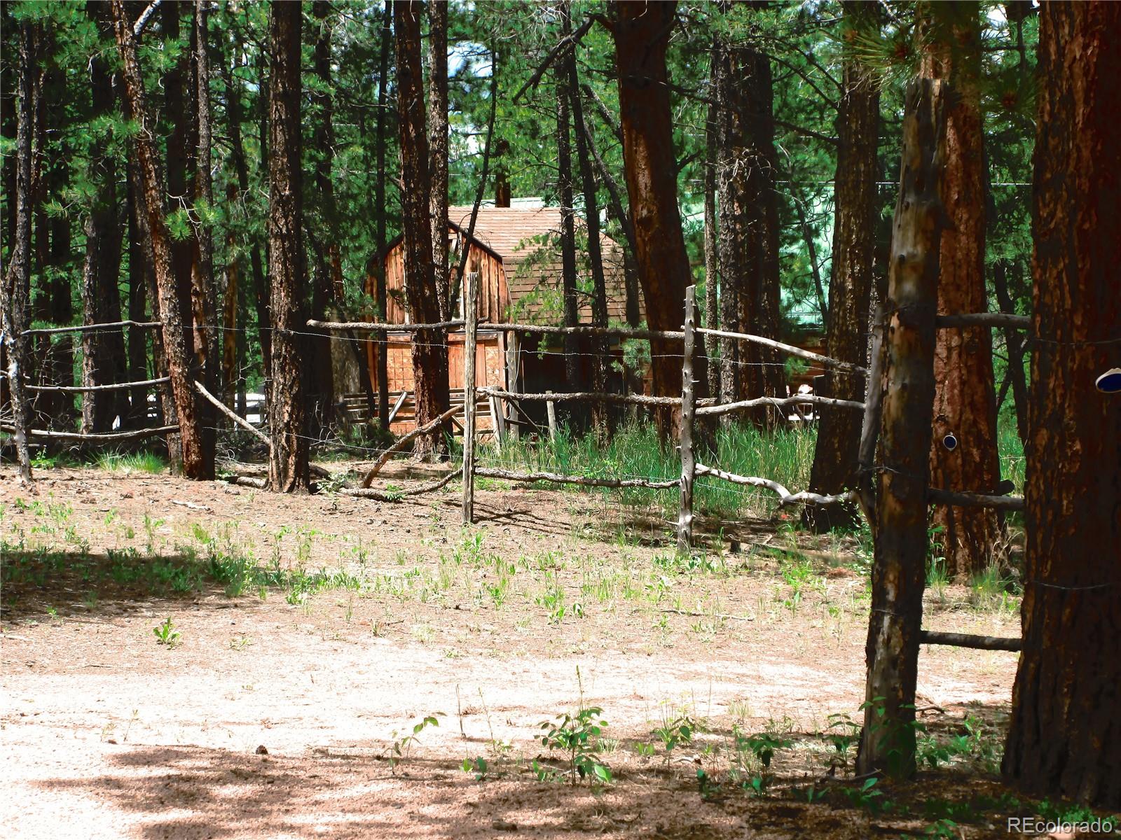 MLS Image #12 for 162  county road-114 ,bailey, Colorado