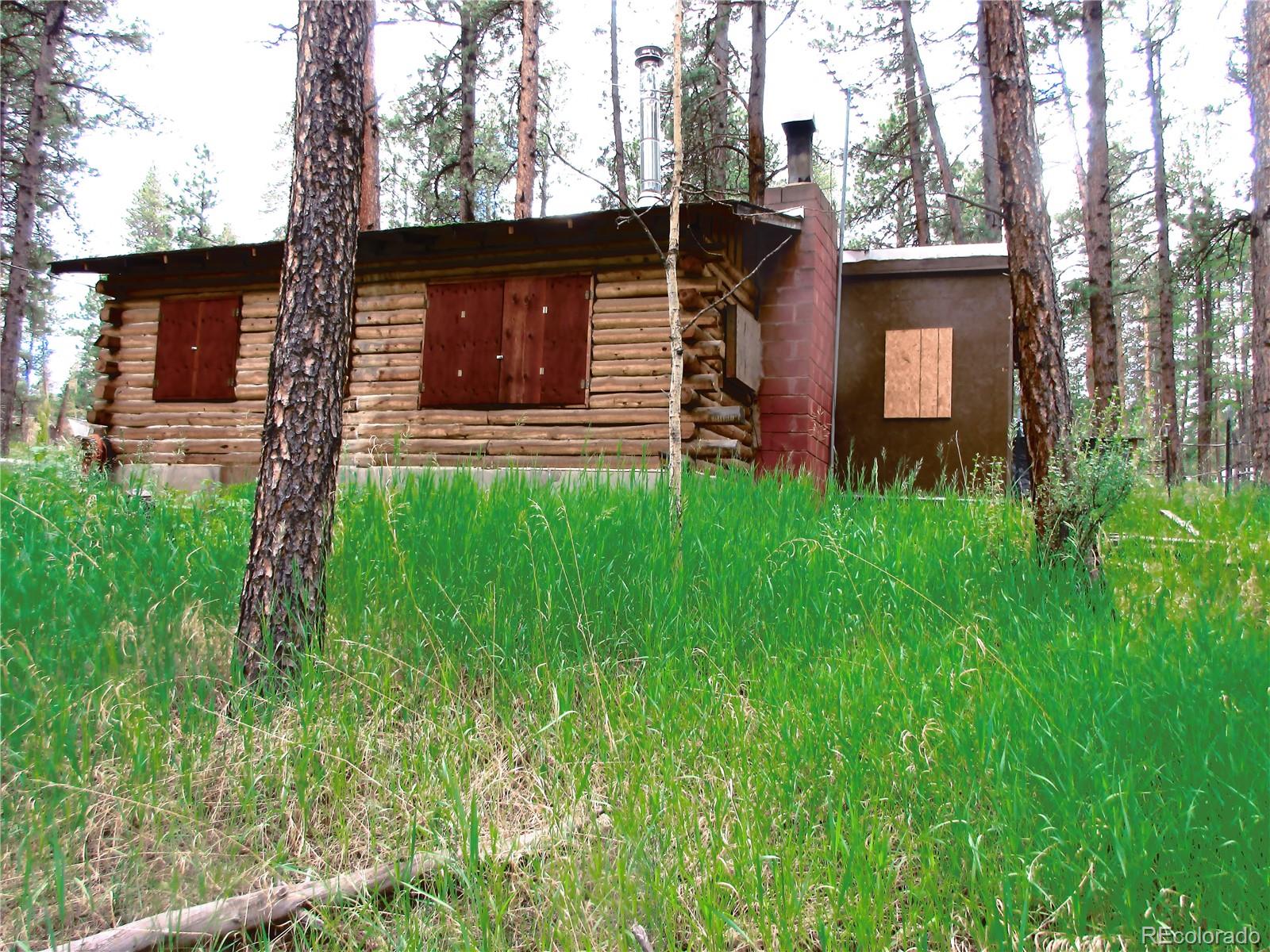 MLS Image #14 for 162  county road-114 ,bailey, Colorado