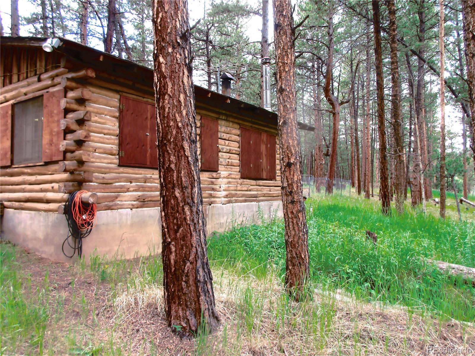 MLS Image #15 for 162  county road-114 ,bailey, Colorado