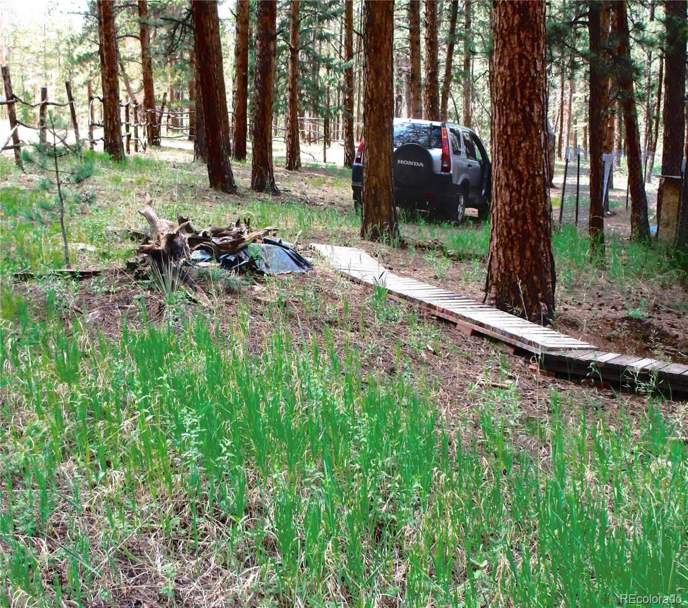 MLS Image #8 for 162  county road-114 ,bailey, Colorado