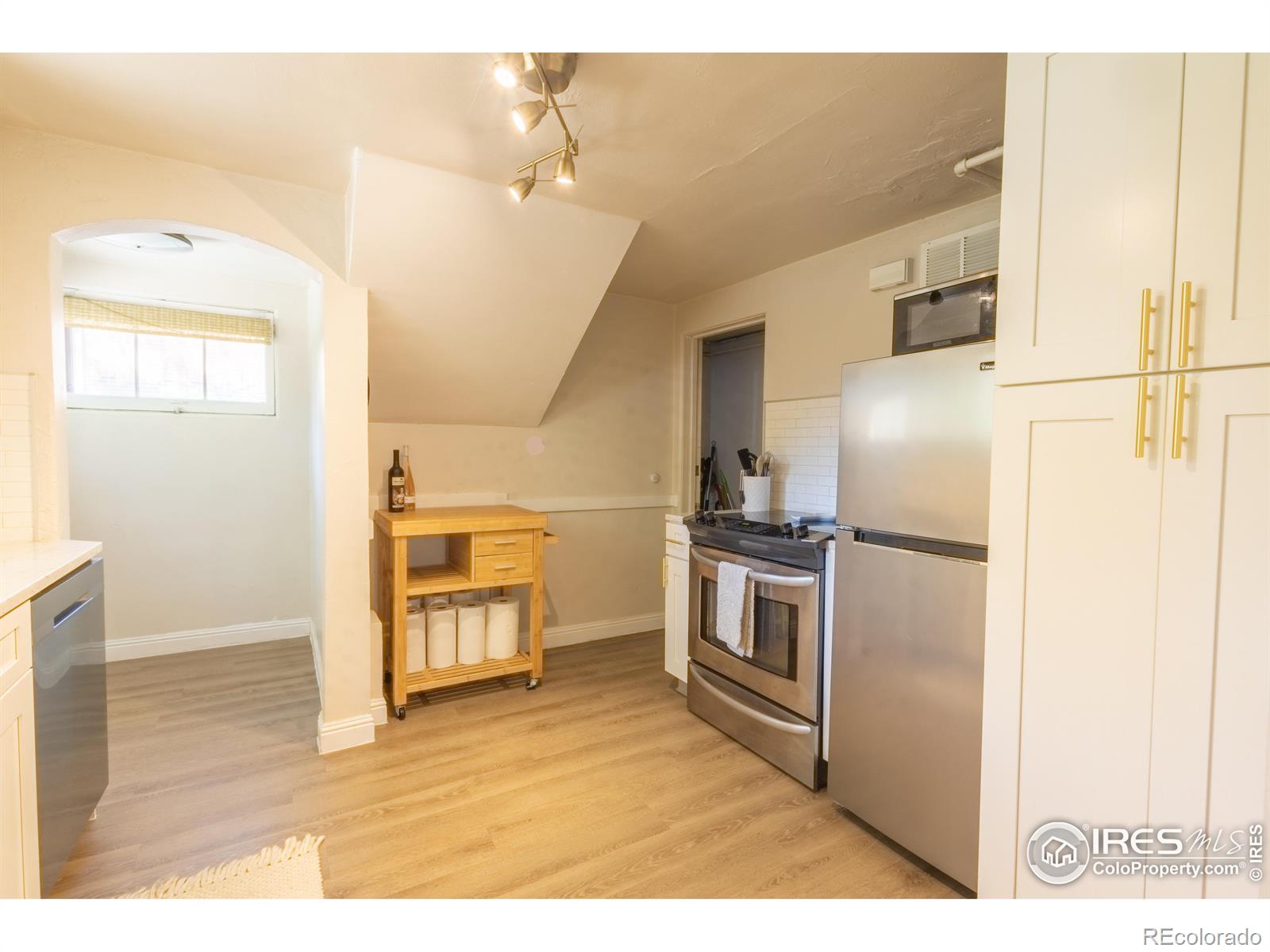 MLS Image #20 for 4501  decatur street,denver, Colorado