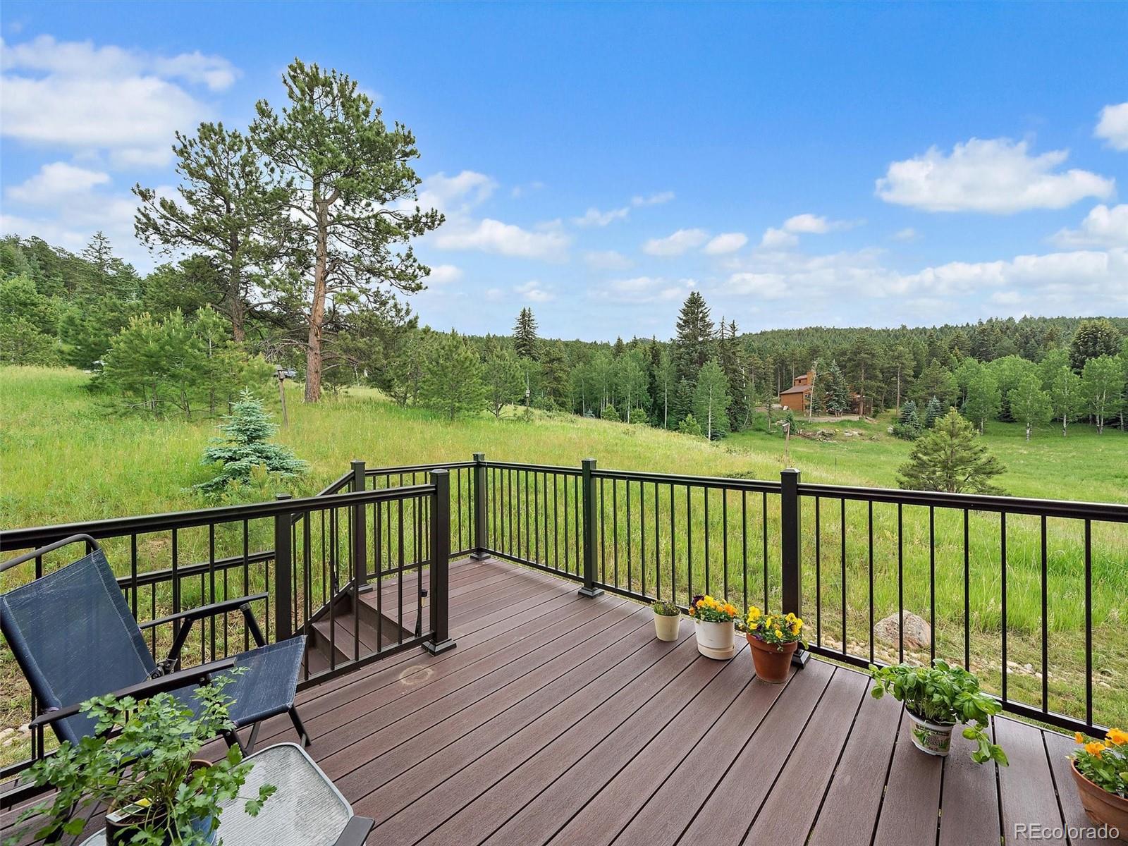 MLS Image #21 for 8091  grizzly way,evergreen, Colorado