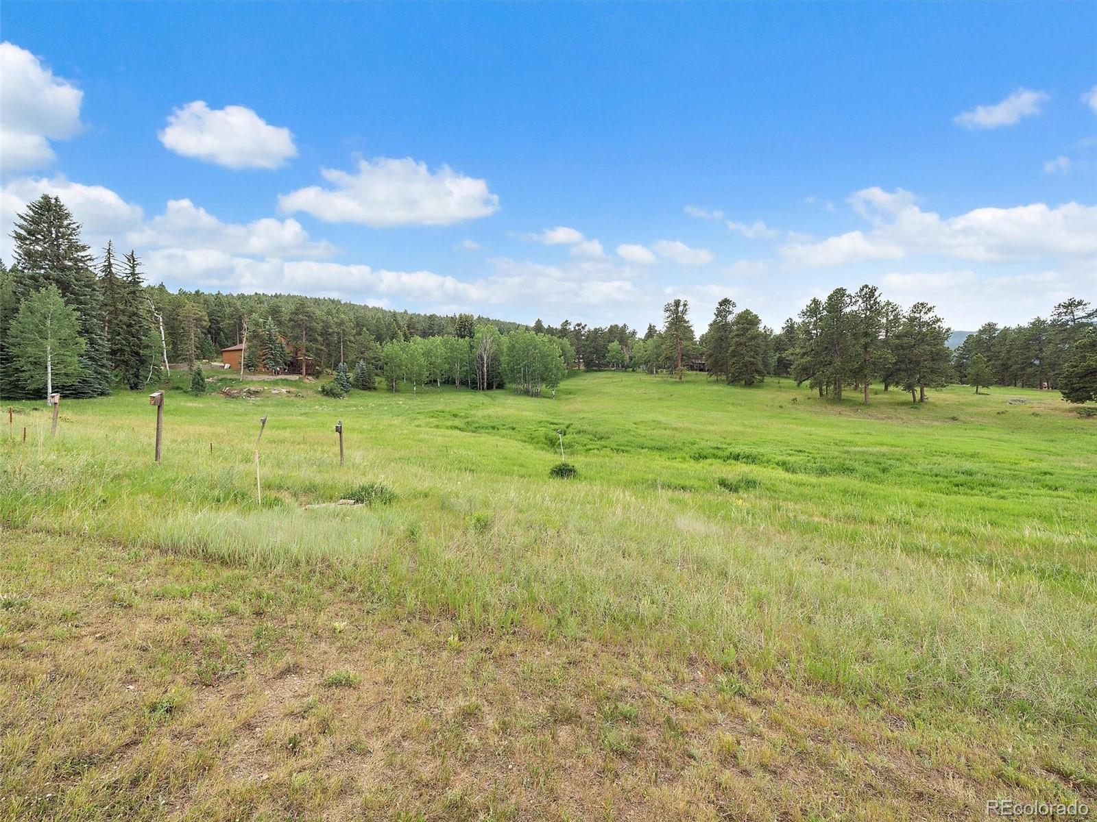 MLS Image #41 for 8091  grizzly way,evergreen, Colorado