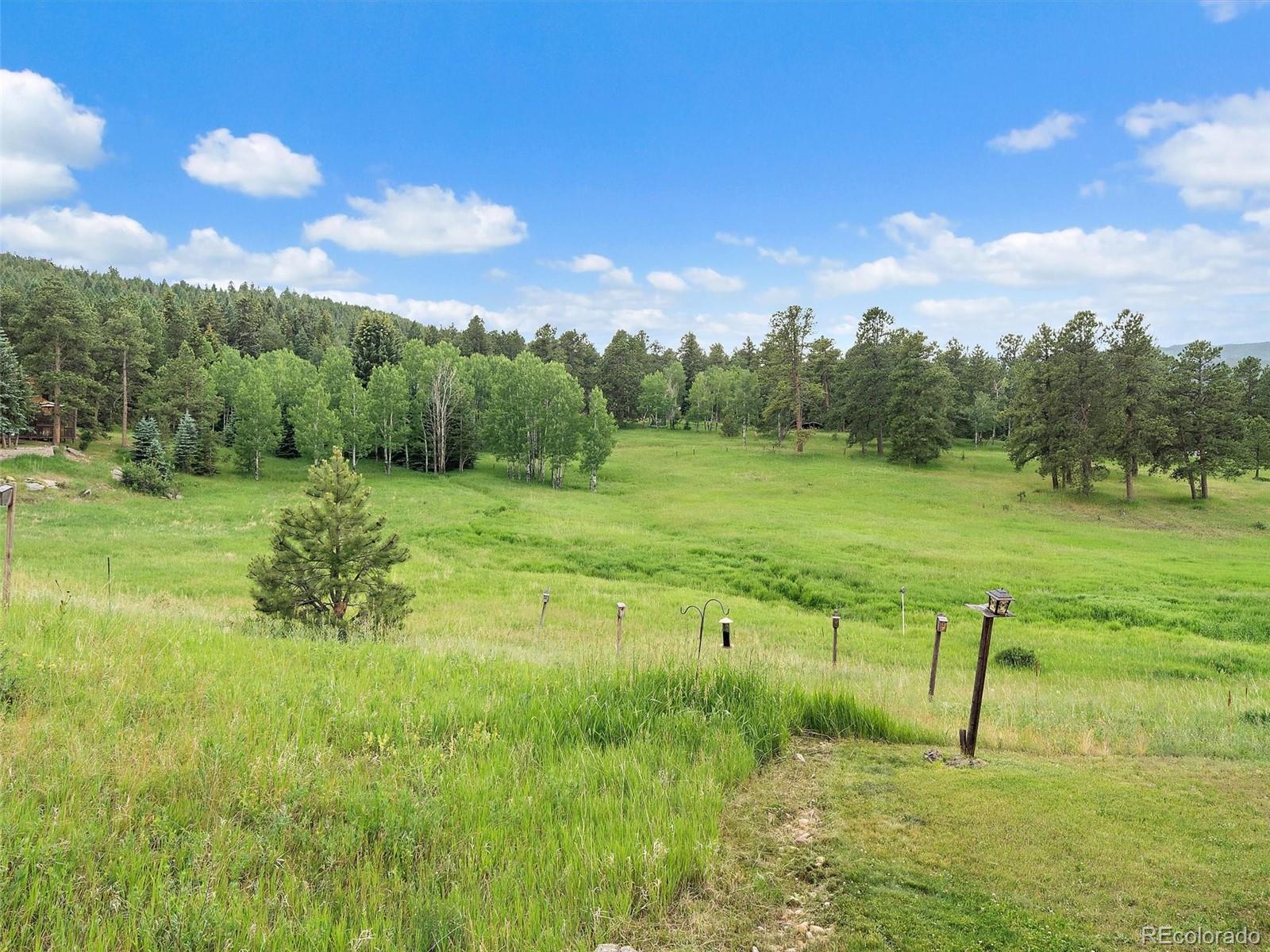MLS Image #42 for 8091  grizzly way,evergreen, Colorado