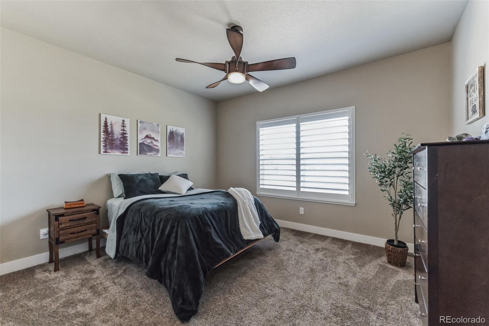 MLS Image #24 for 6710  valderrama court,windsor, Colorado