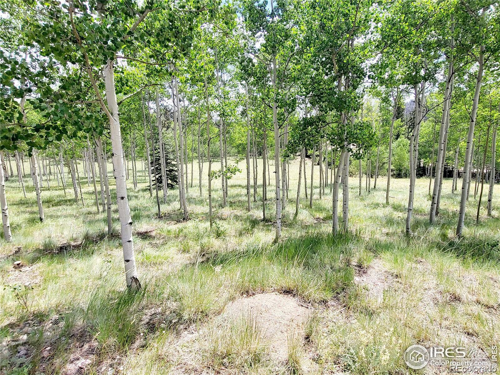 MLS Image #22 for 1530  swiggler road,como, Colorado