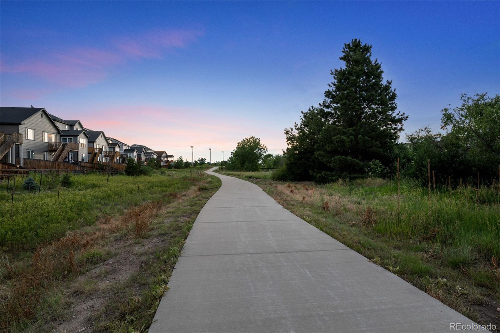 MLS Image #30 for 1177 s gilbert street,castle rock, Colorado