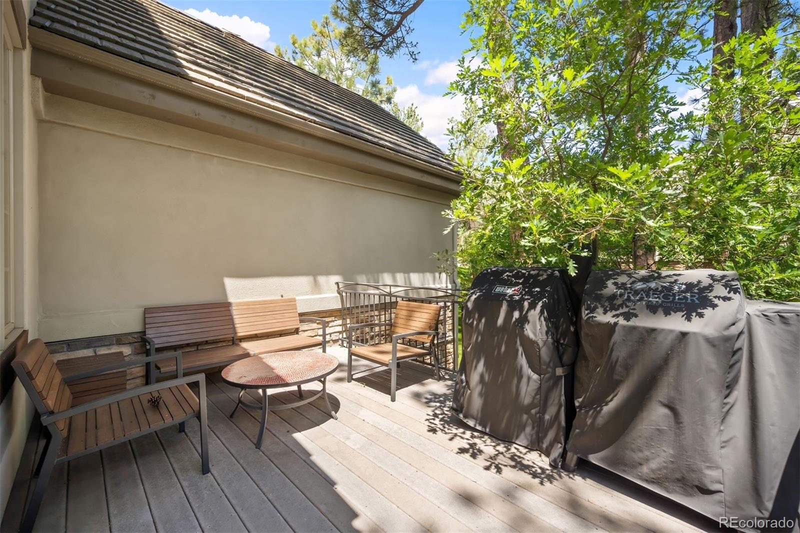 MLS Image #14 for 630  country club lane,castle rock, Colorado