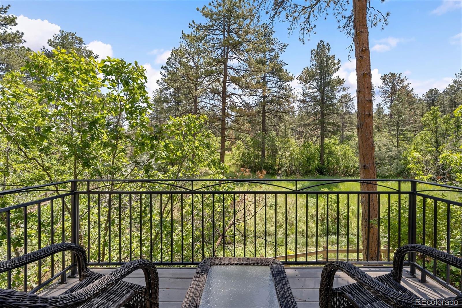 MLS Image #31 for 630  country club lane,castle rock, Colorado