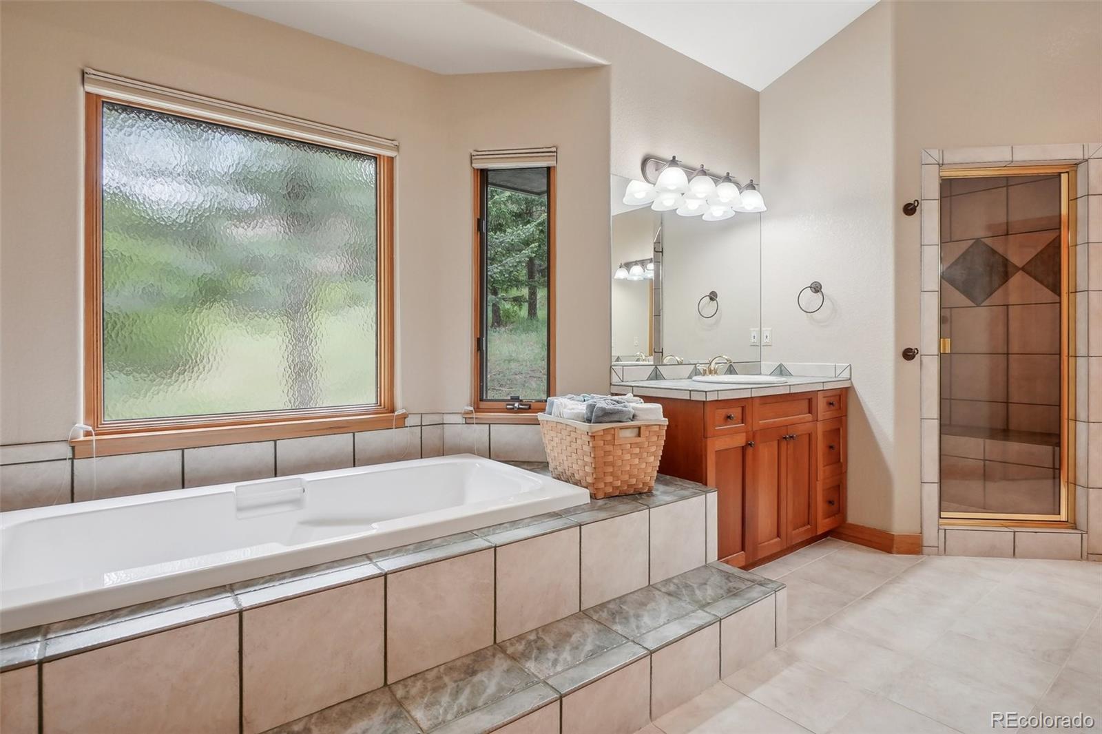 MLS Image #23 for 1564  steamboat court,evergreen, Colorado