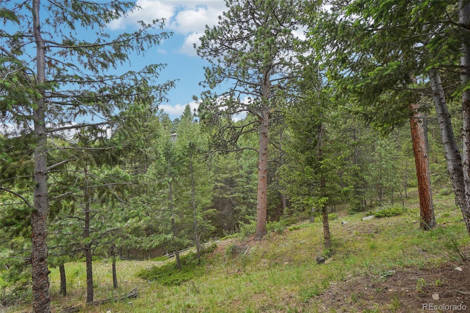 MLS Image #6 for 1564  steamboat court,evergreen, Colorado