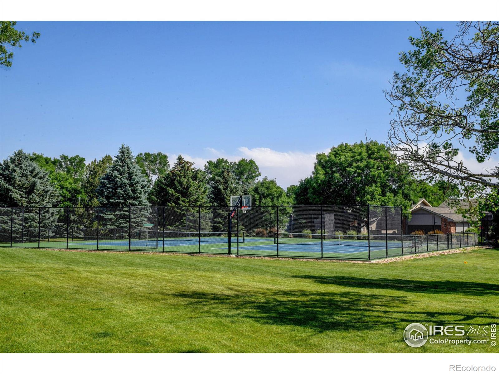 MLS Image #27 for 1548  adriel court,fort collins, Colorado