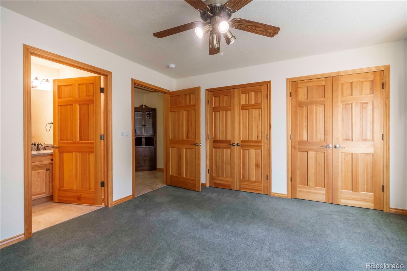 MLS Image #31 for 33973  iroquois trail,pine, Colorado