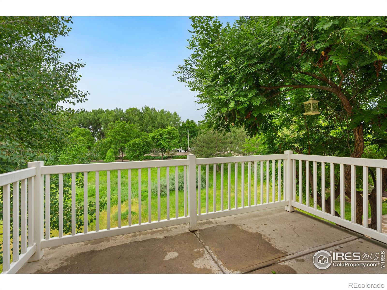 MLS Image #14 for 1837  grays peak drive,loveland, Colorado