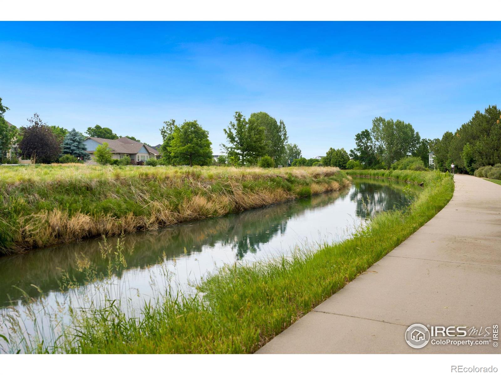 MLS Image #16 for 1837  grays peak drive,loveland, Colorado