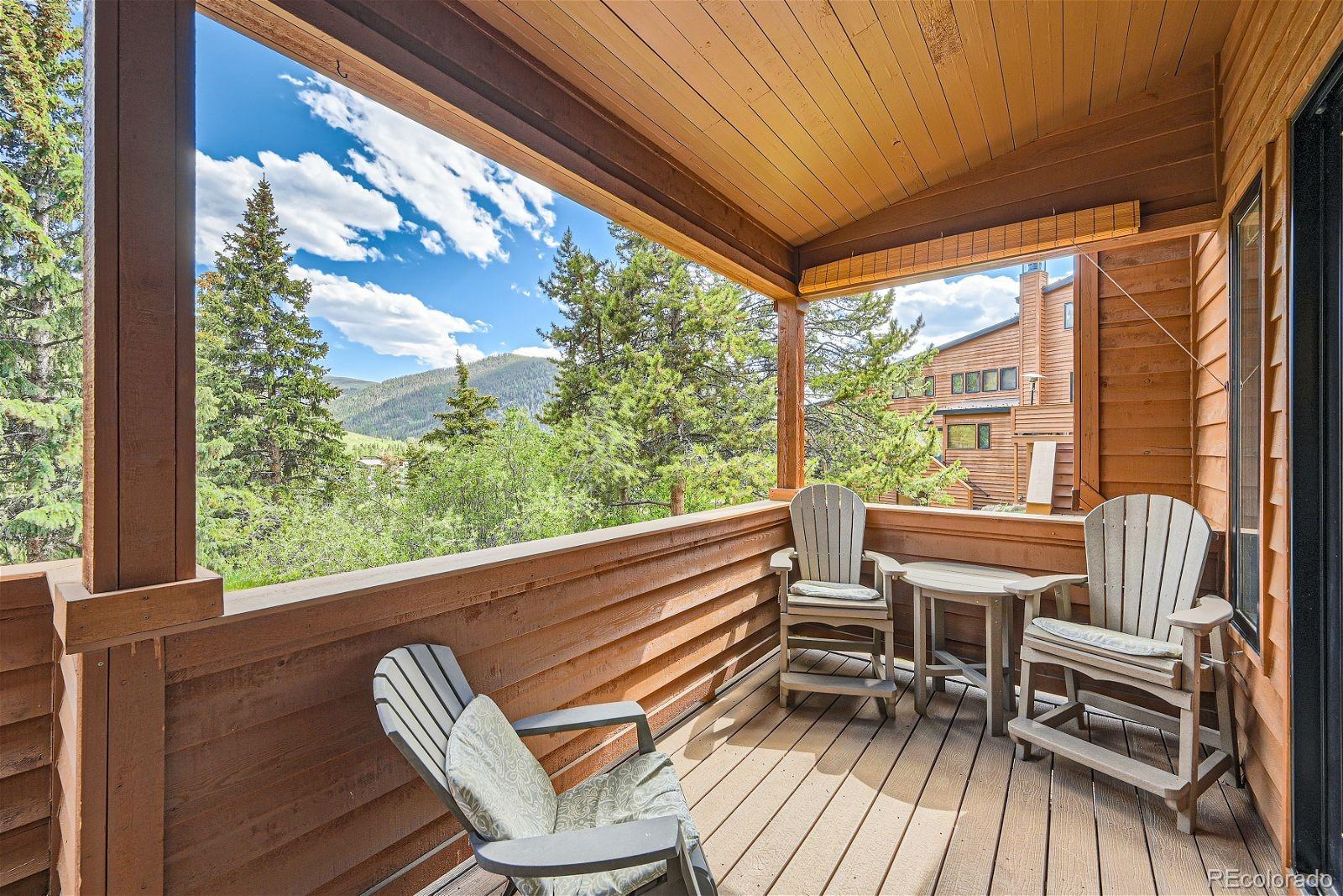 MLS Image #2 for 440  tennis club road,dillon, Colorado