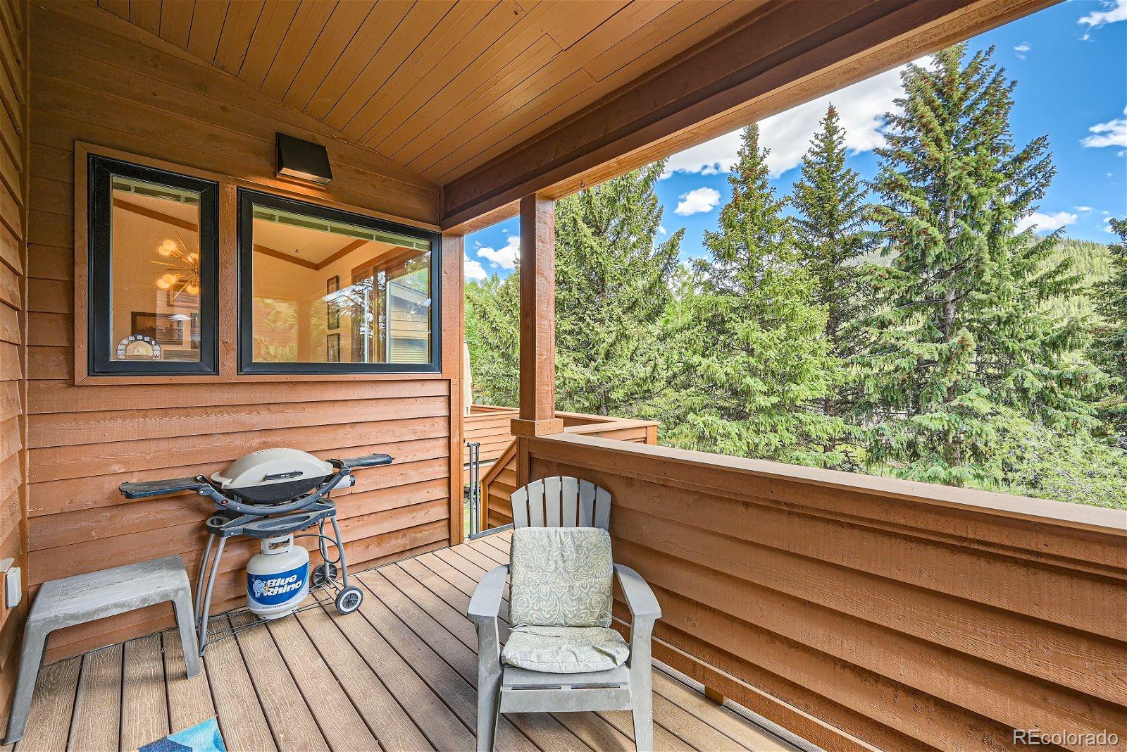 MLS Image #25 for 440  tennis club road,dillon, Colorado