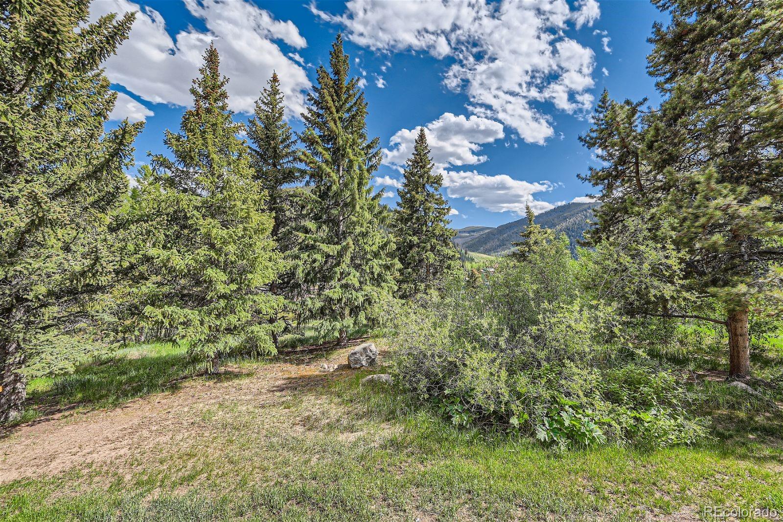 MLS Image #26 for 440  tennis club road,dillon, Colorado