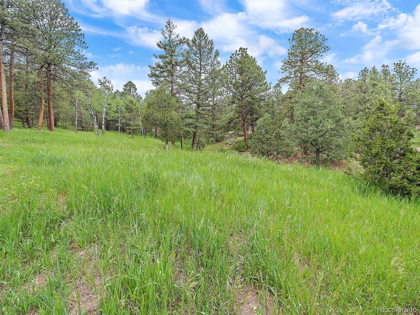 MLS Image #30 for 29320 s sunset trail,conifer, Colorado