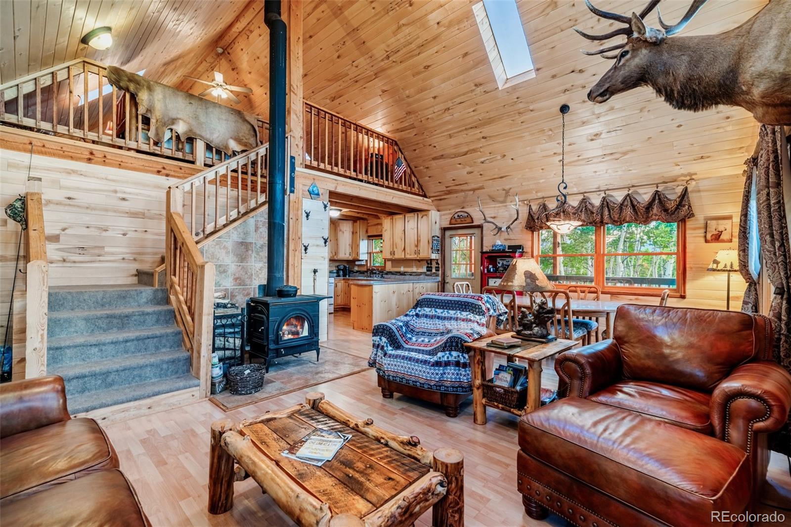 MLS Image #14 for 1177  cave creek road,fairplay, Colorado