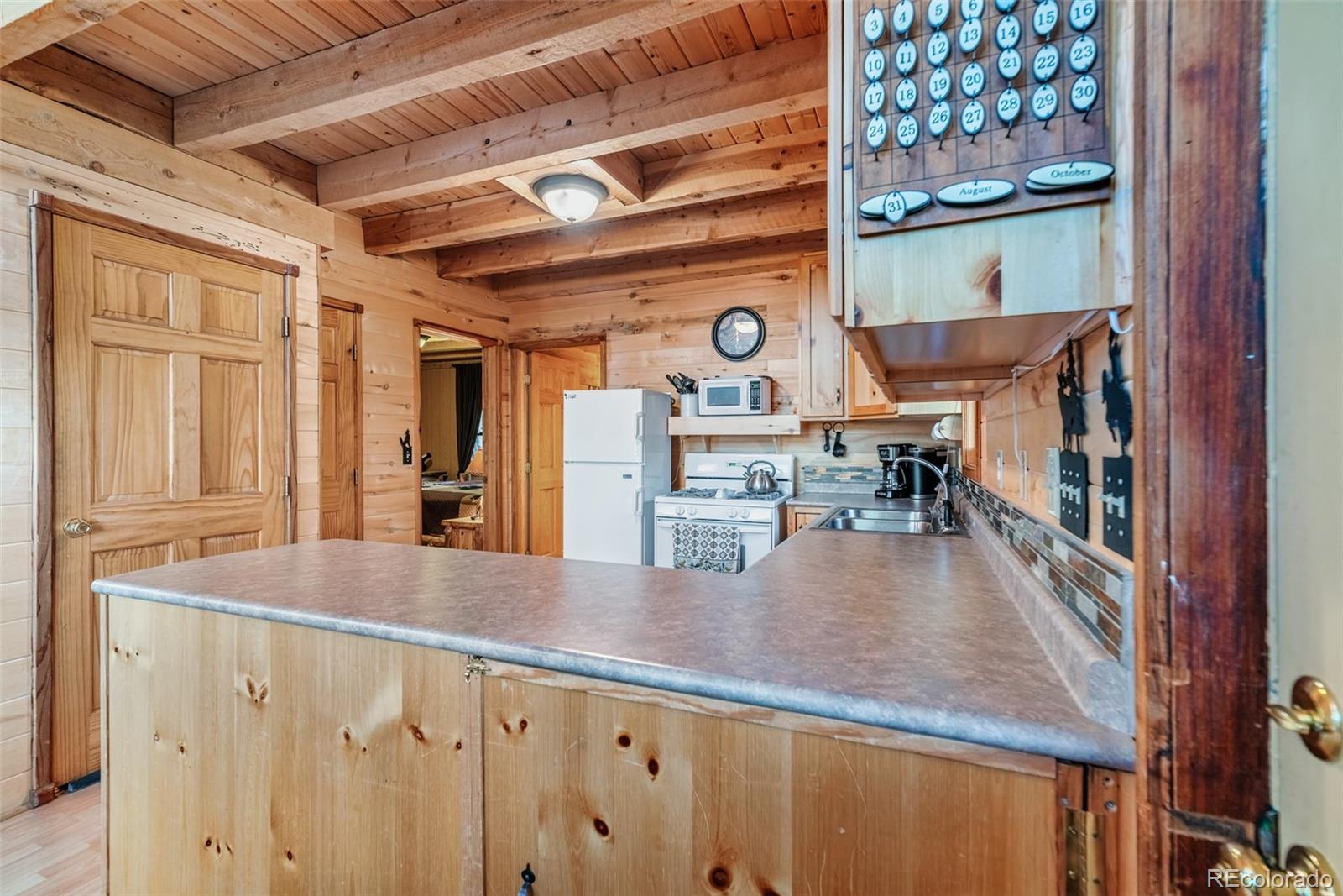 MLS Image #16 for 1177  cave creek road,fairplay, Colorado