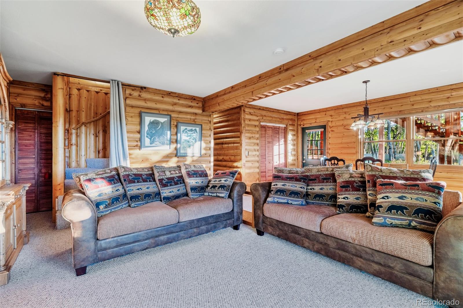 MLS Image #27 for 1177  cave creek road,fairplay, Colorado