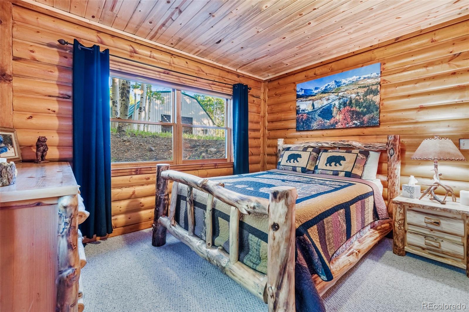 MLS Image #30 for 1177  cave creek road,fairplay, Colorado