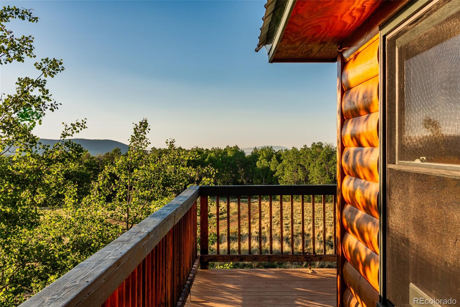 MLS Image #37 for 1177  cave creek road,fairplay, Colorado