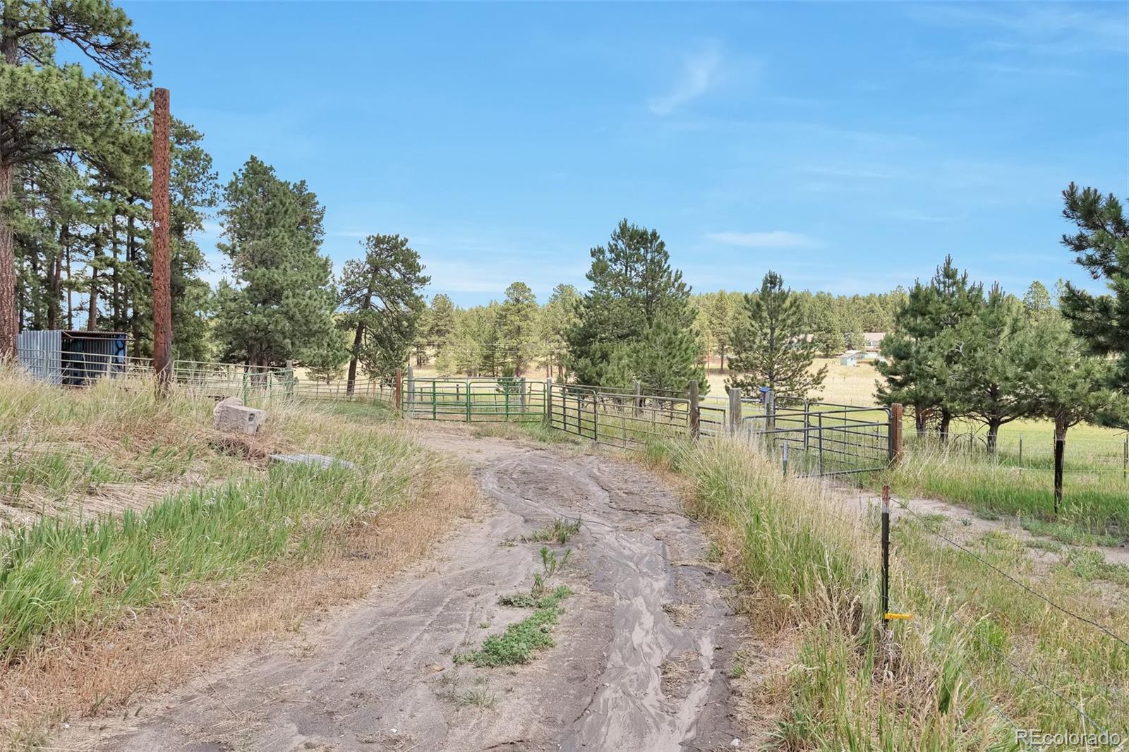 MLS Image #7 for 10771  winding meadow drive,kiowa, Colorado