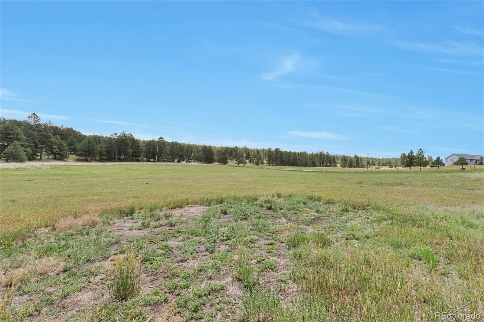 MLS Image #8 for 10771  winding meadow drive,kiowa, Colorado