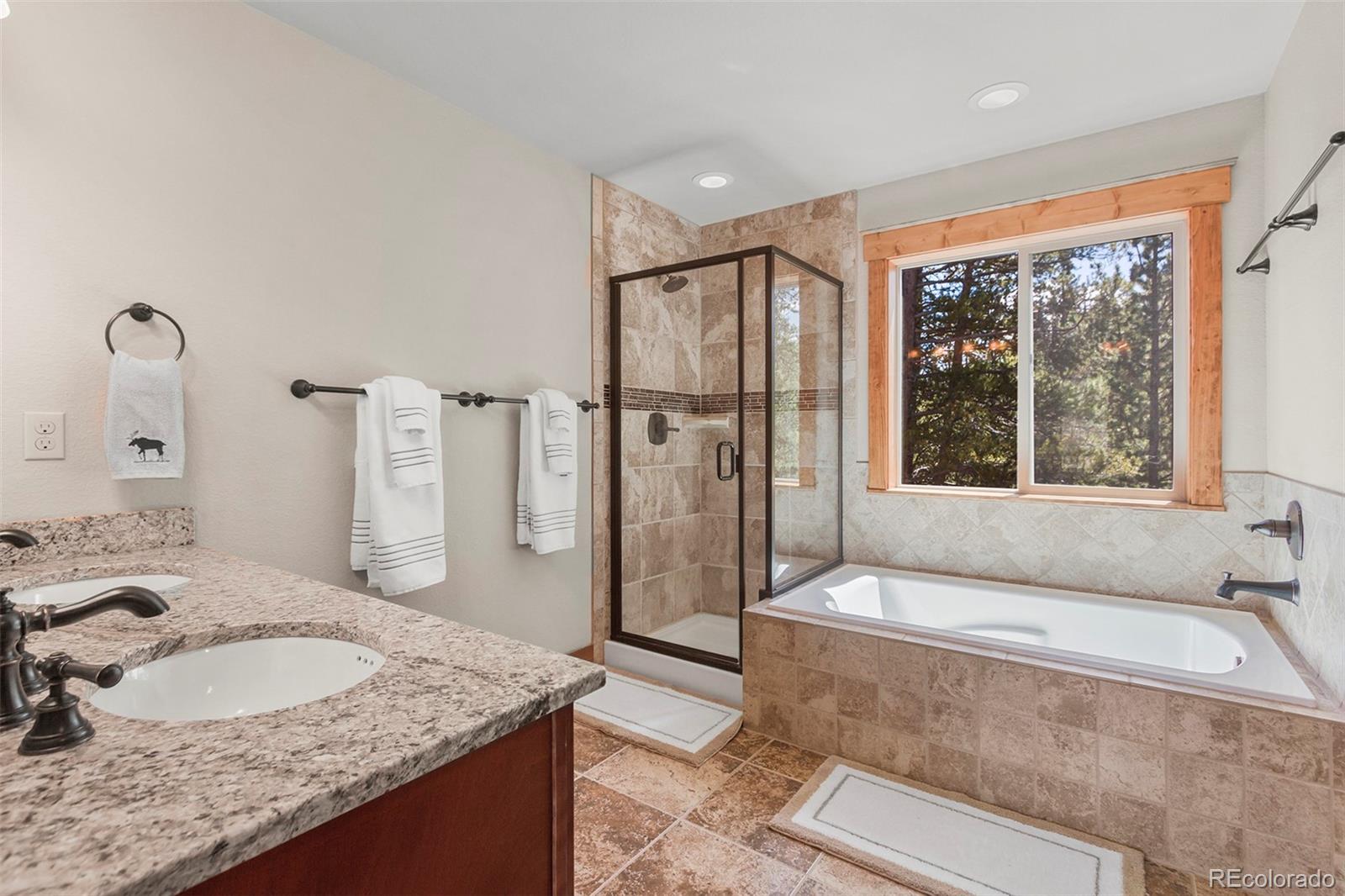 MLS Image #17 for 112  secluded court,fairplay, Colorado