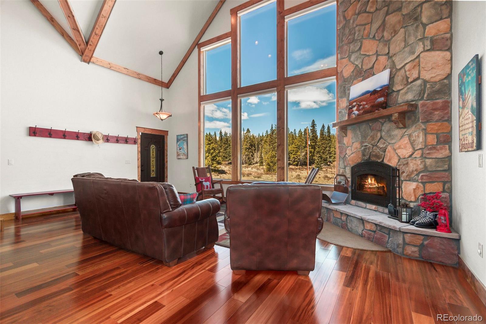 MLS Image #6 for 112  secluded court,fairplay, Colorado