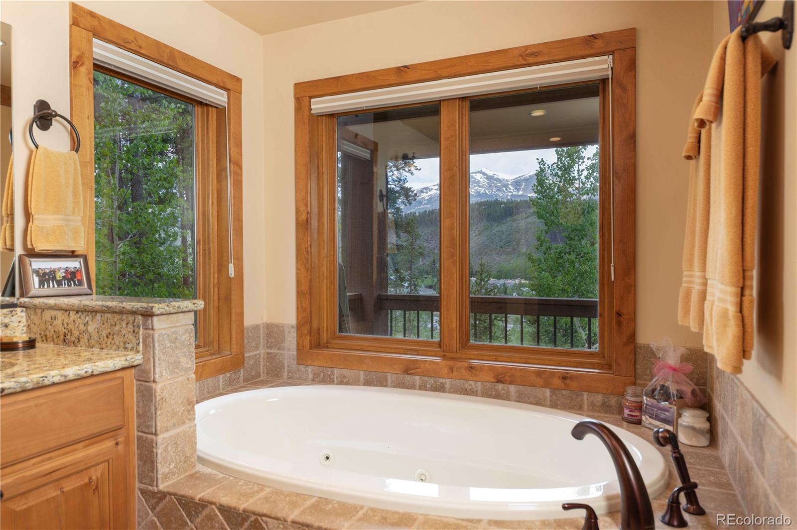 MLS Image #13 for 29  fletcher court,breckenridge, Colorado