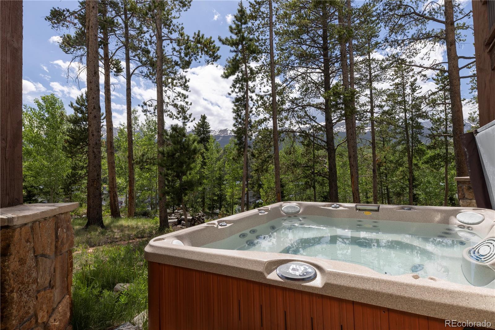 MLS Image #32 for 29  fletcher court,breckenridge, Colorado