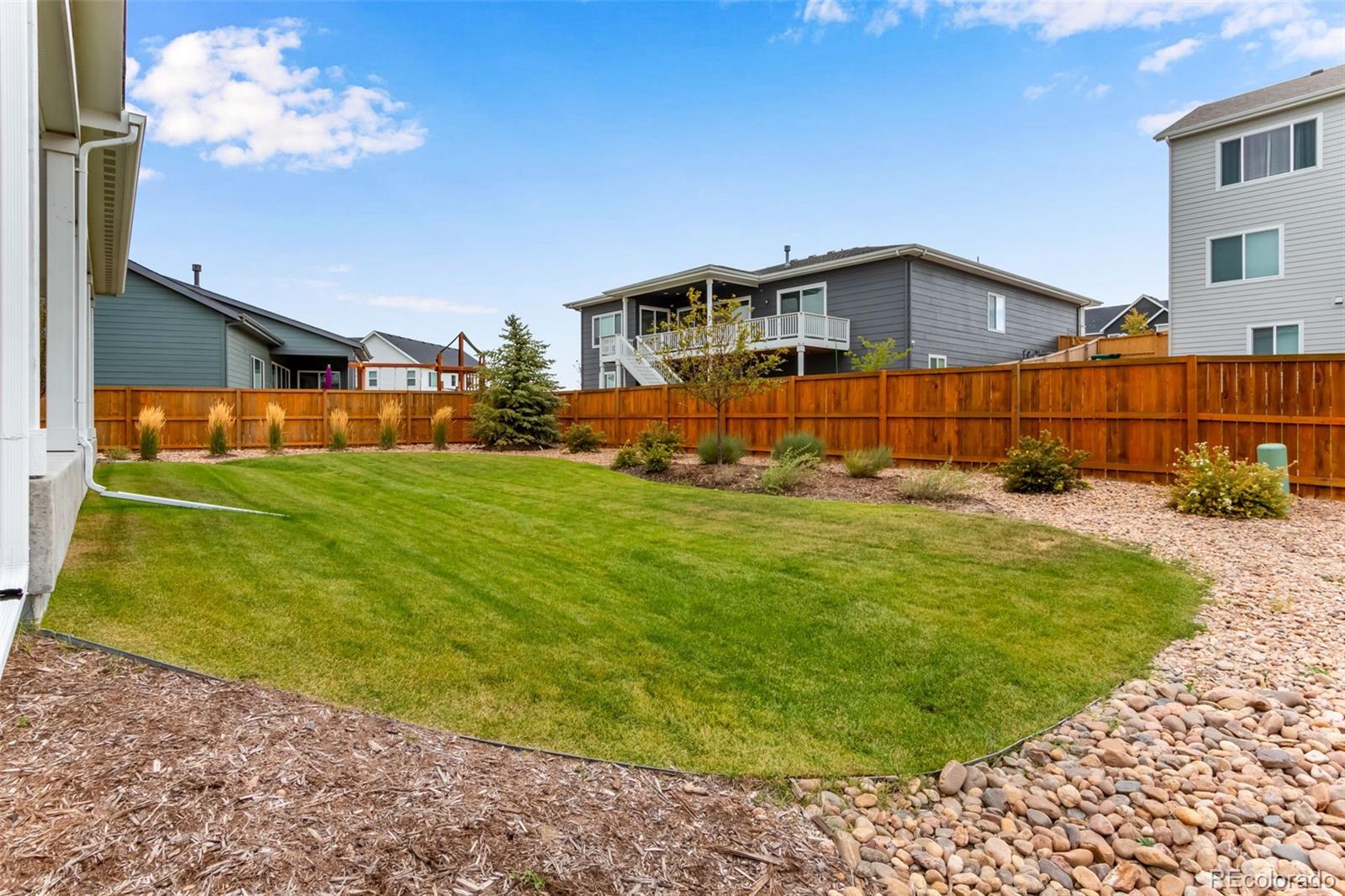 MLS Image #49 for 14417  hop clover trail,parker, Colorado