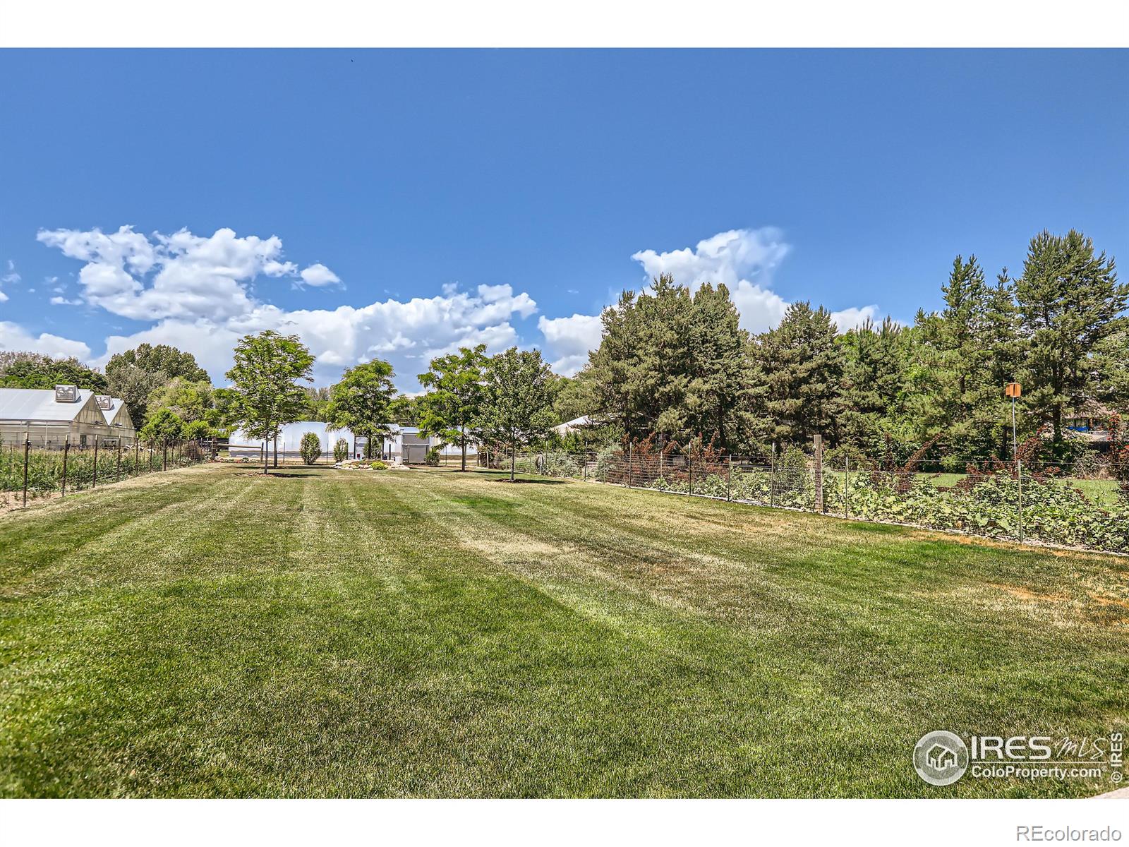 MLS Image #30 for 617 n hollywood street,fort collins, Colorado