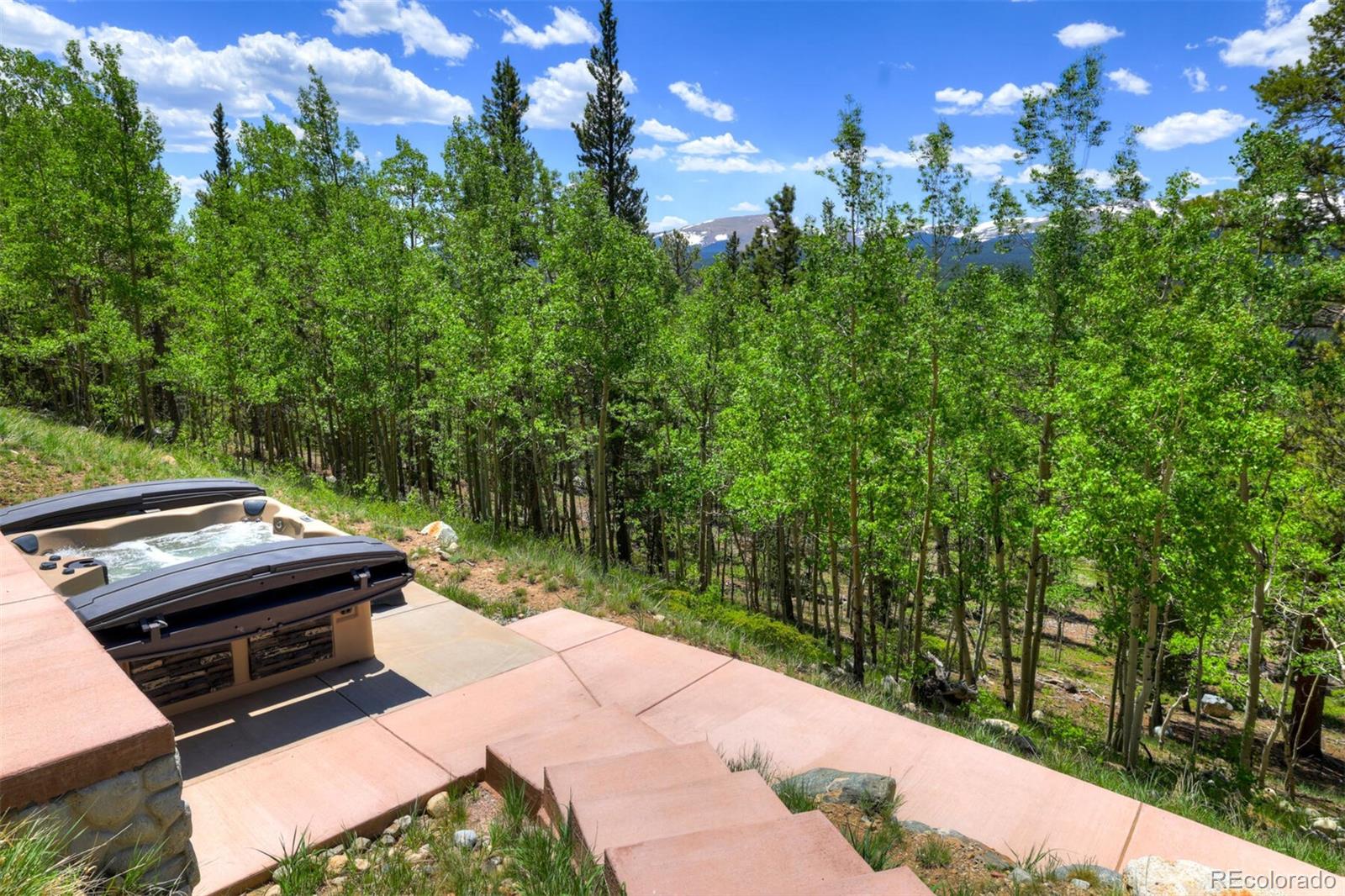 MLS Image #42 for 1453  ponderosa road,alma, Colorado