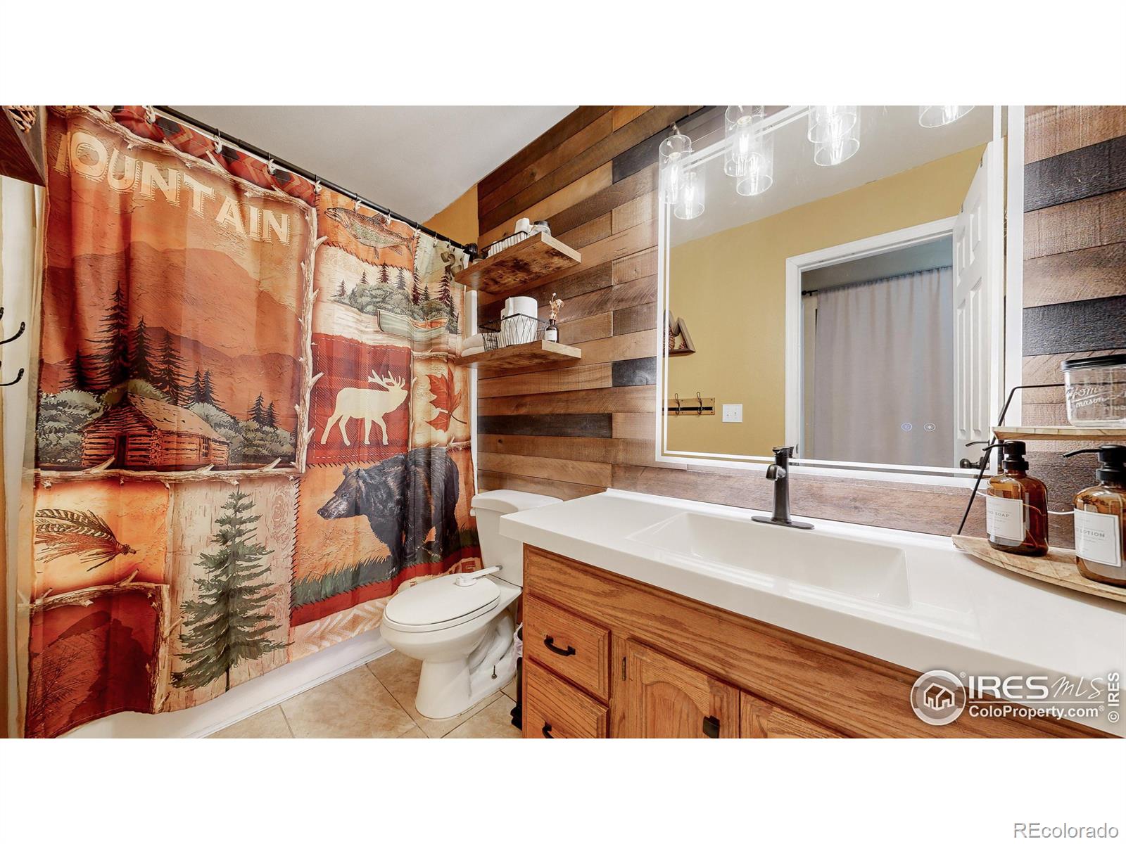 MLS Image #18 for 157  crestone way,livermore, Colorado