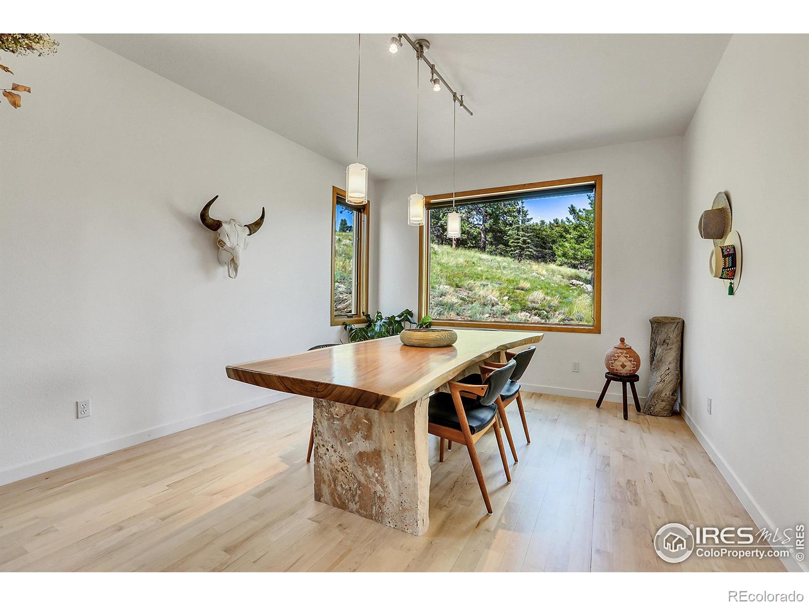 MLS Image #12 for 57  whispering pines road,boulder, Colorado