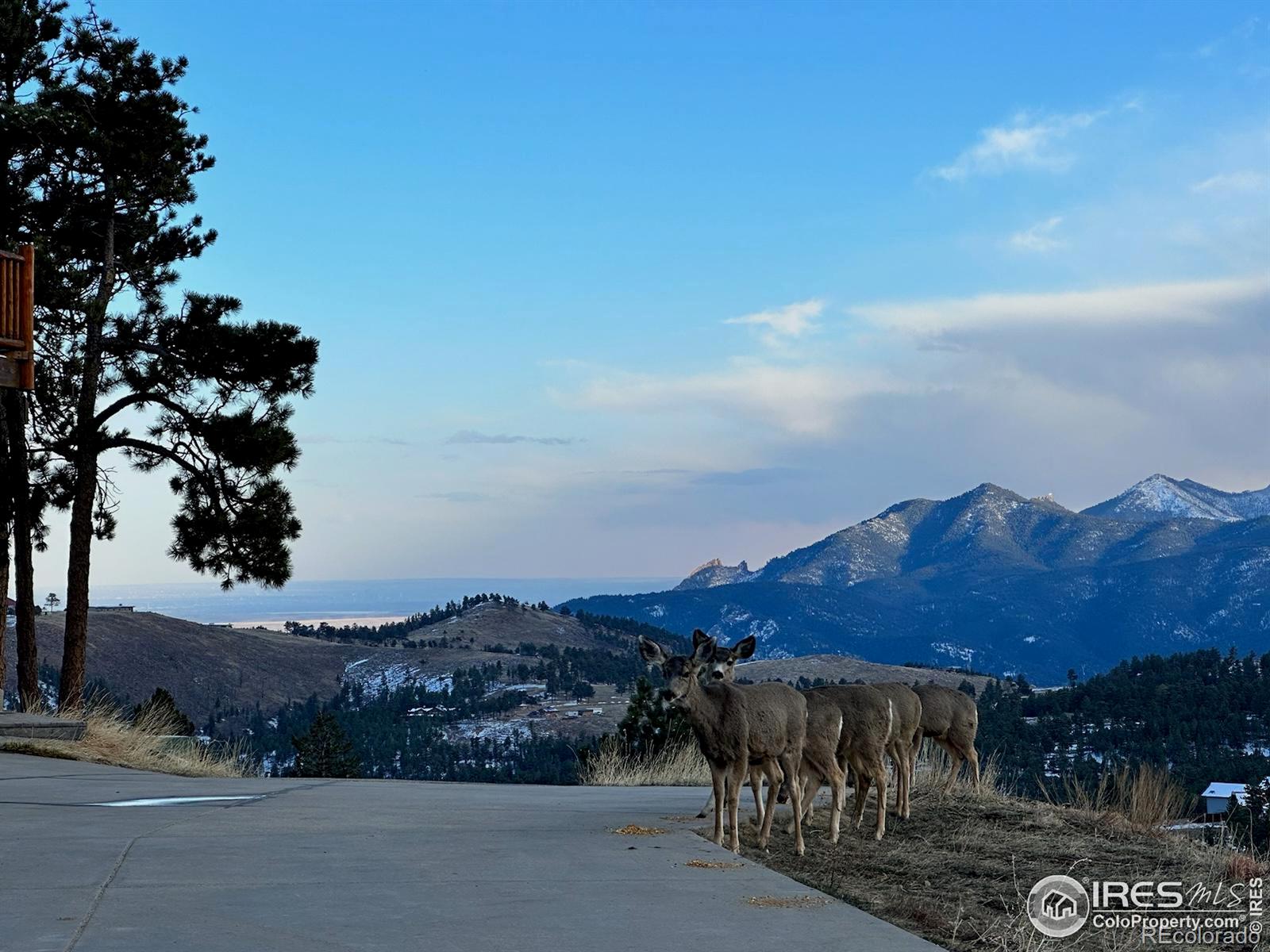 MLS Image #38 for 57  whispering pines road,boulder, Colorado