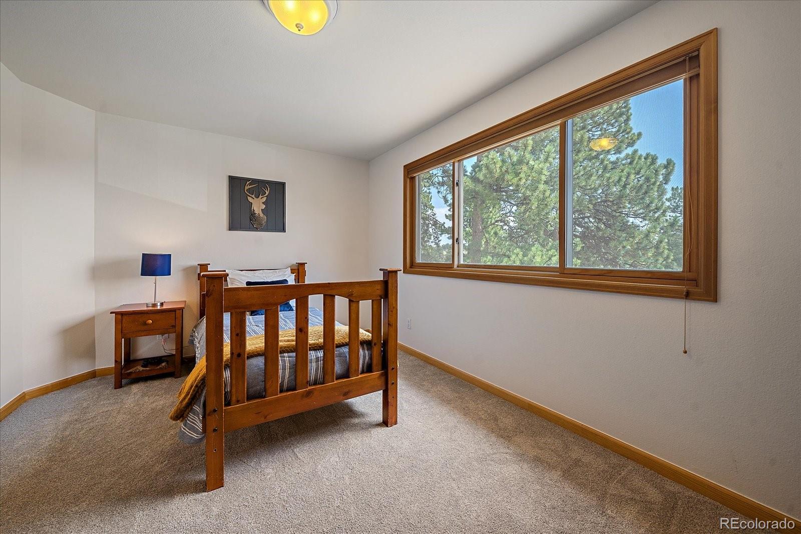 MLS Image #29 for 1523  belford court,evergreen, Colorado