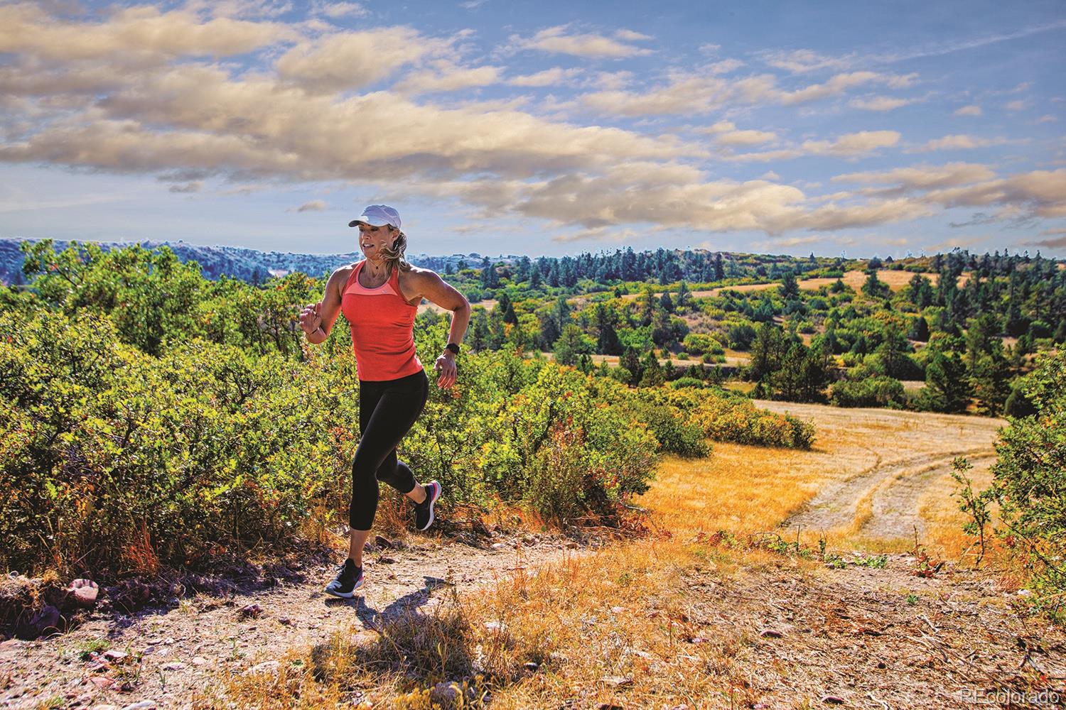 MLS Image #22 for 3820  treadway point,castle rock, Colorado