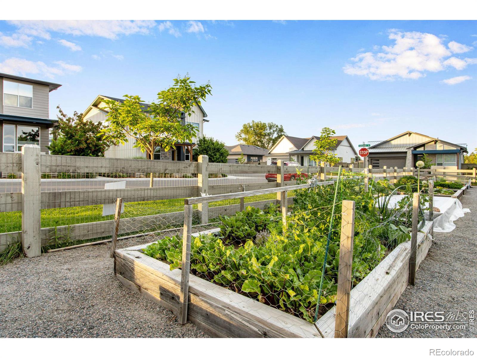 MLS Image #9 for 1992  foxtail lane,lafayette, Colorado