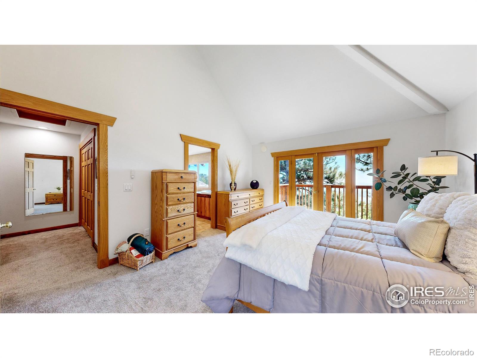 MLS Image #14 for 15850  steller ridge road,loveland, Colorado