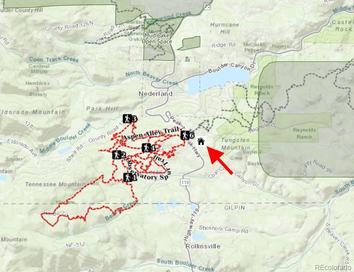 MLS Image #47 for 23884  peak to peak highway,nederland, Colorado